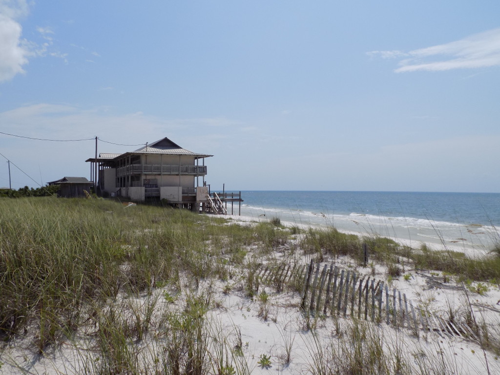 Dog Island, Florida – The Island that Time Forgot | Living Adrift