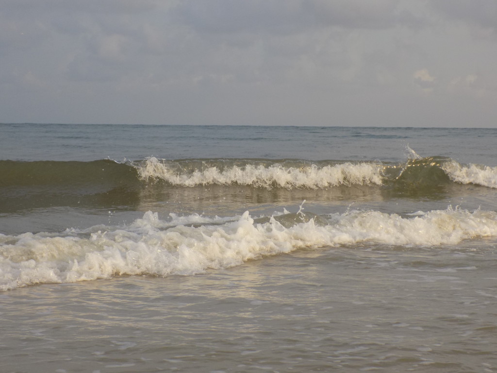 Dog Island, Florida – The Island that Time Forgot | Living Adrift