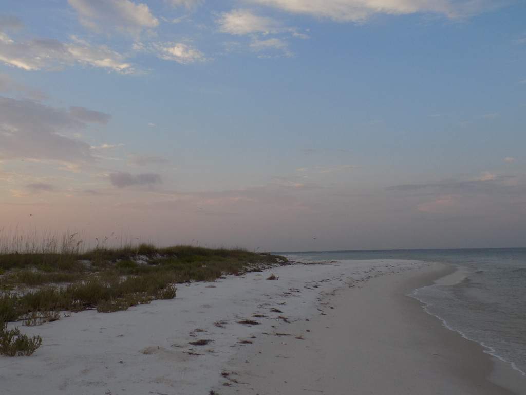 Dog Island, Florida – The Island that Time Forgot | Living Adrift