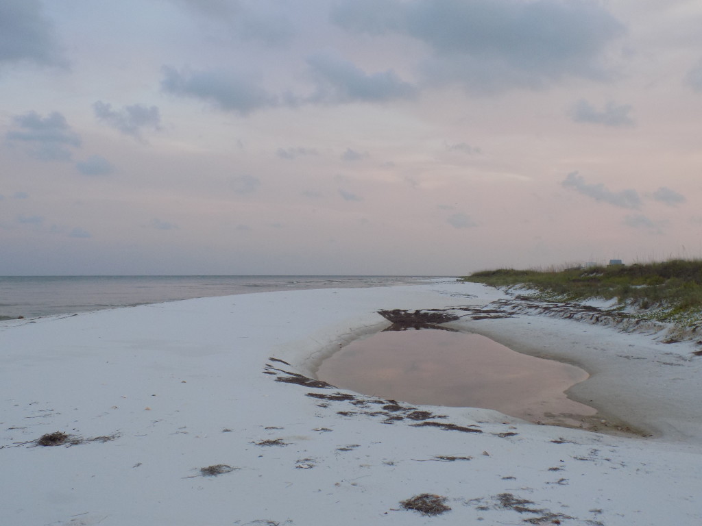 Dog Island, Florida – The Island that Time Forgot | Living Adrift